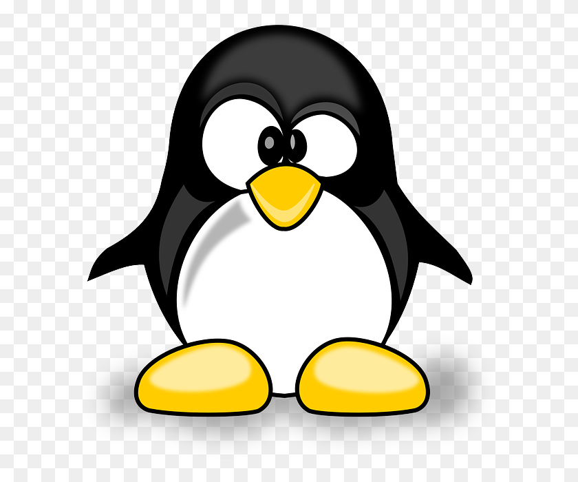 Detail Clipart Penguin Nomer 46