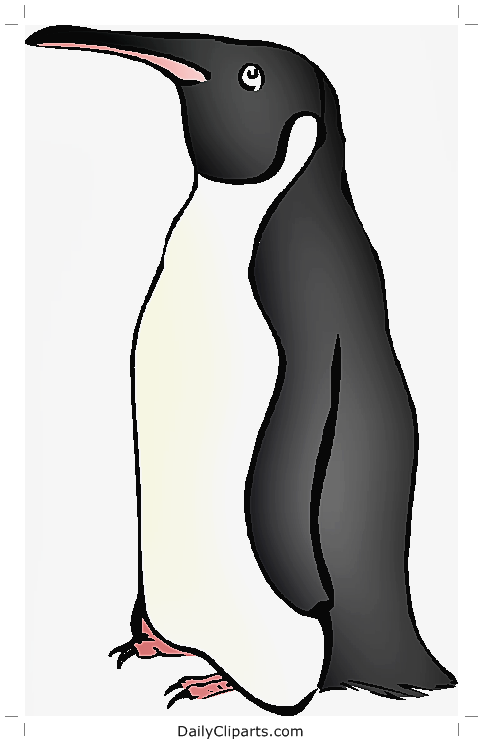 Detail Clipart Penguin Nomer 47