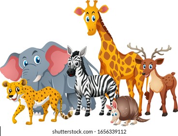 Detail Clipart Pictures Of Animals Nomer 3
