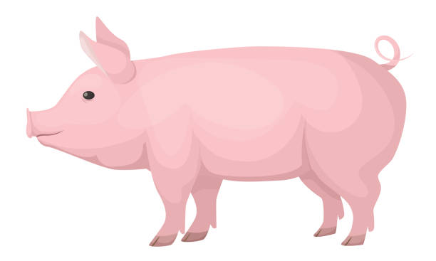 Detail Clipart Pig Nomer 28