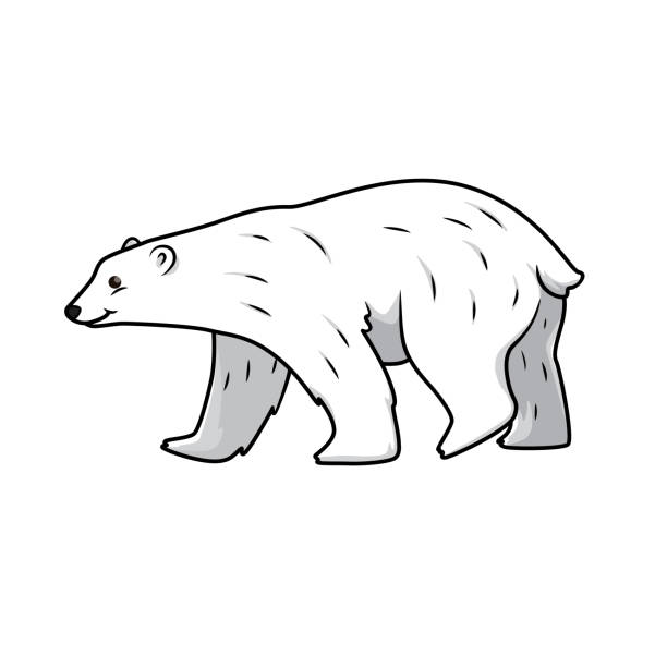 Detail Clipart Polar Bear Nomer 2