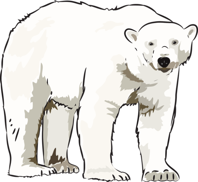 Detail Clipart Polar Bear Nomer 12