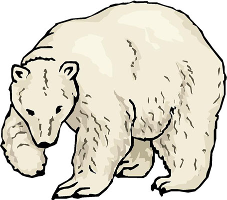 Detail Clipart Polar Bear Nomer 30