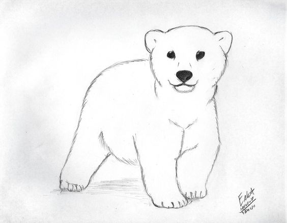 Detail Clipart Polar Bear Nomer 31