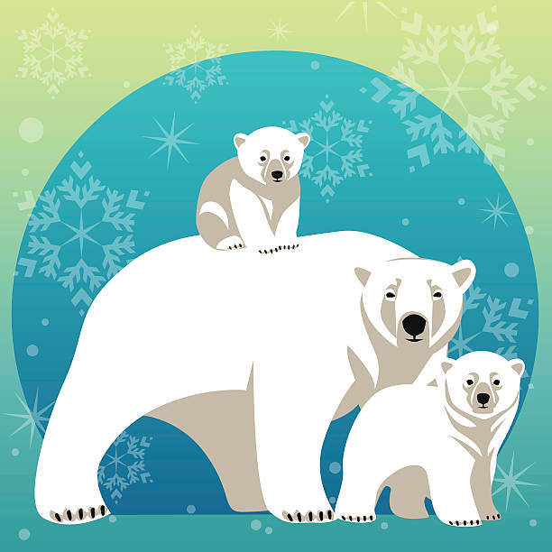 Detail Clipart Polar Bear Nomer 43