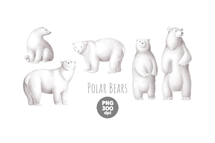 Detail Clipart Polar Bear Nomer 49