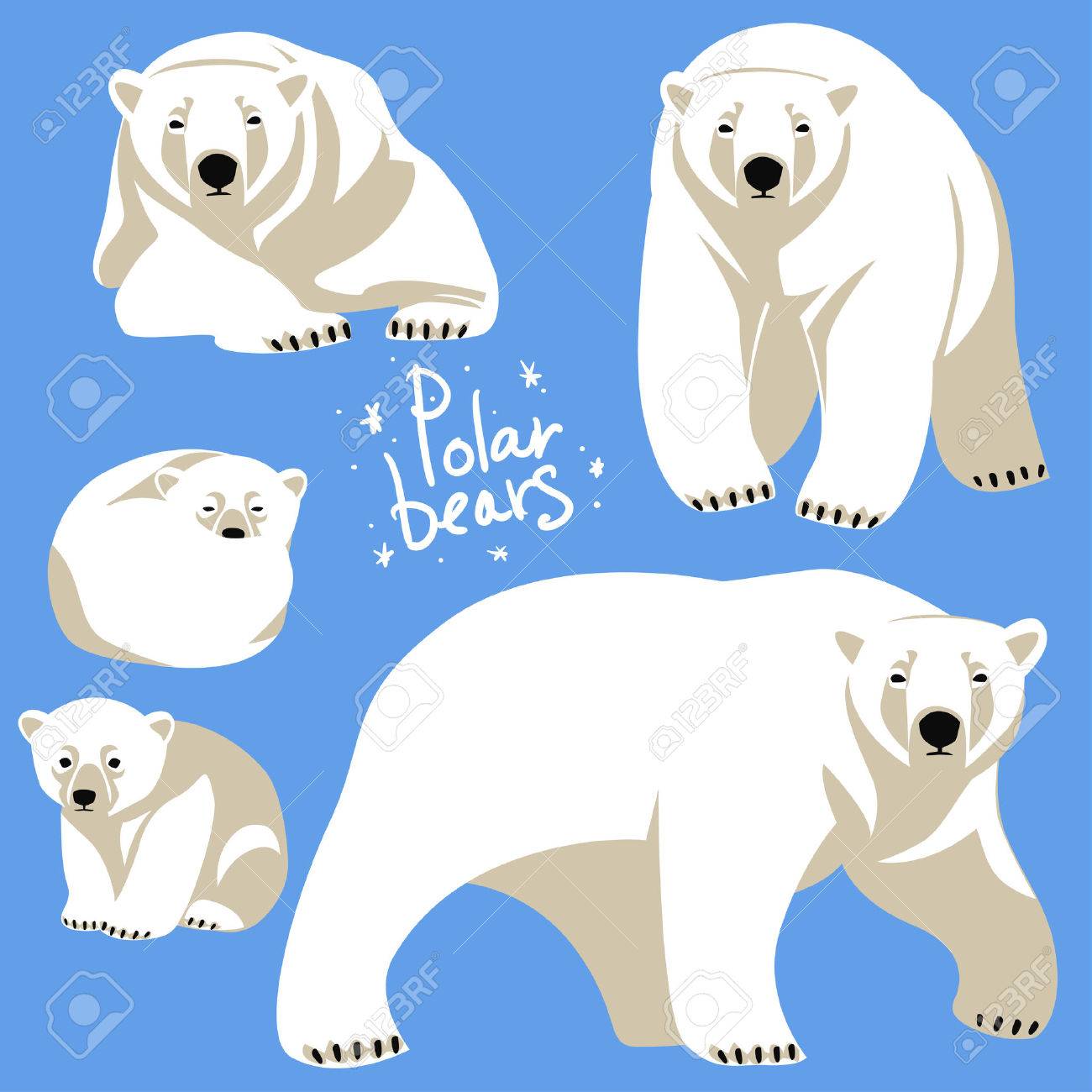 Detail Clipart Polar Bear Nomer 52