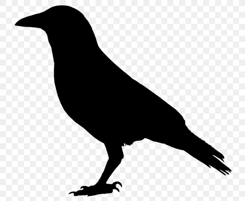 Detail Clipart Raven Nomer 10