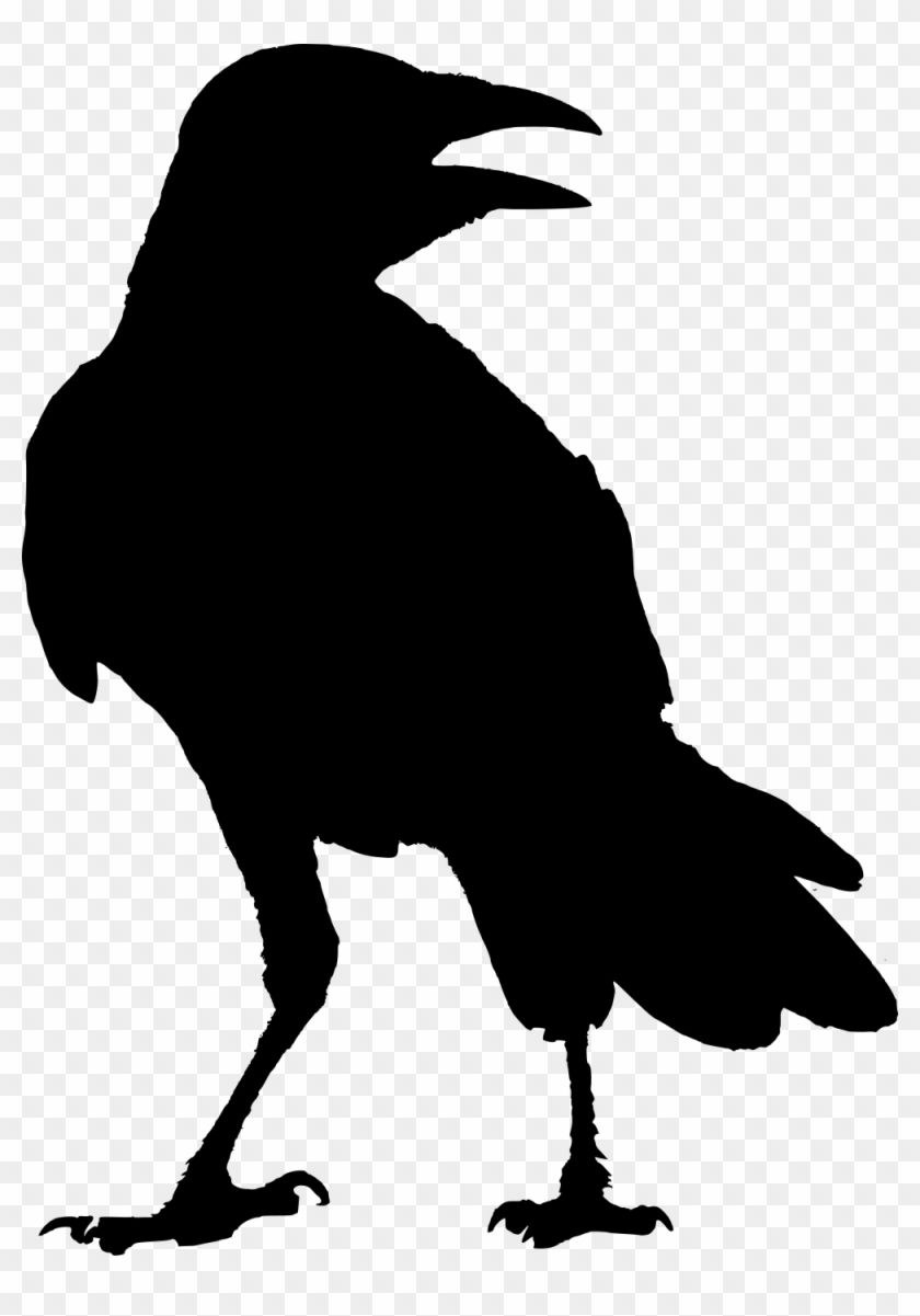 Detail Clipart Raven Nomer 15