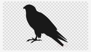 Detail Clipart Raven Nomer 18