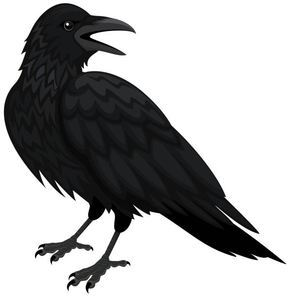 Detail Clipart Raven Nomer 21