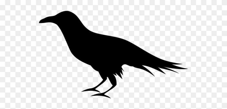 Detail Clipart Raven Nomer 3