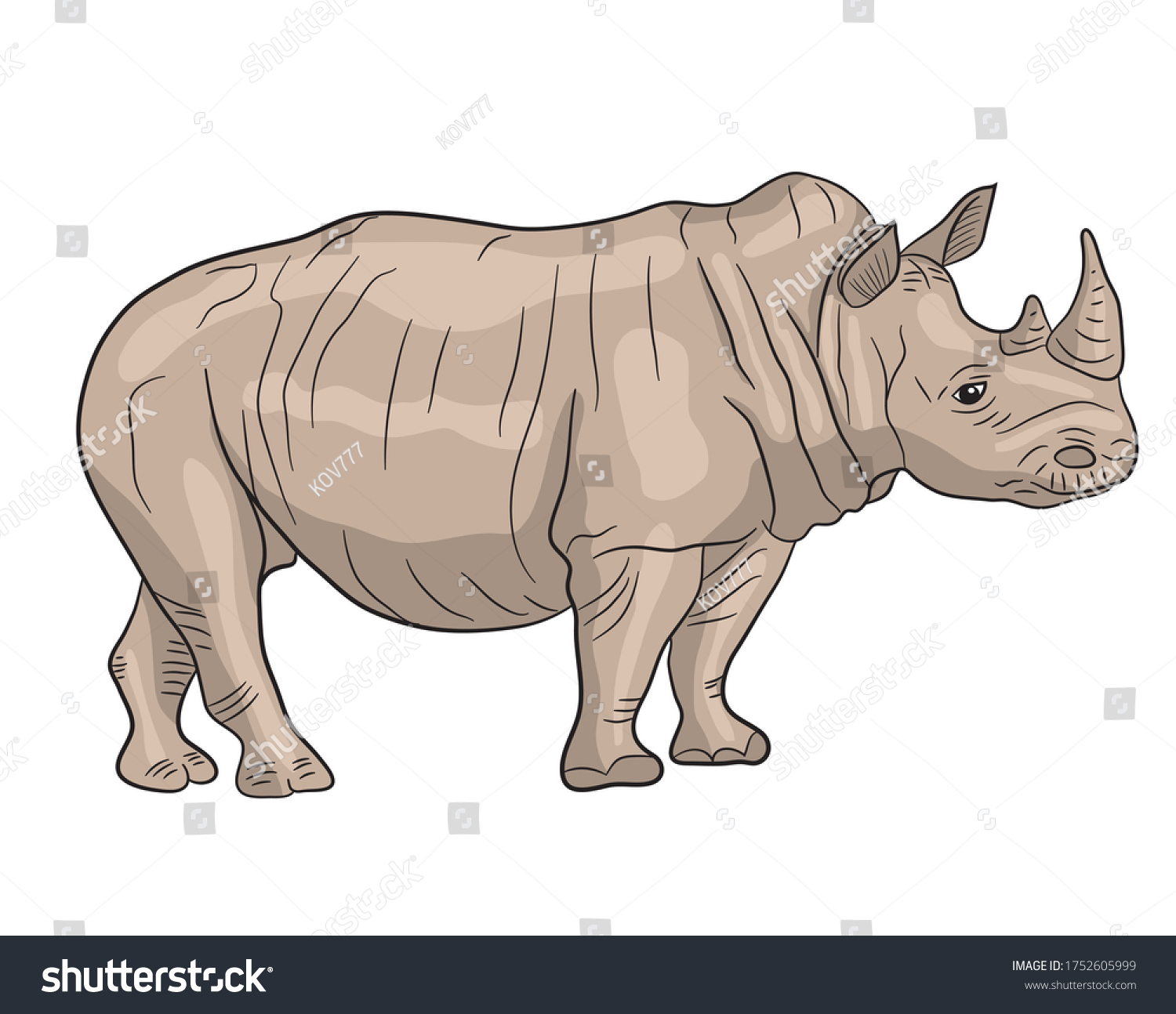 Detail Clipart Rhino Nomer 21