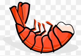 Detail Clipart Shrimp Nomer 20