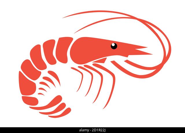 Detail Clipart Shrimp Nomer 22