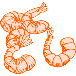 Detail Clipart Shrimp Nomer 23