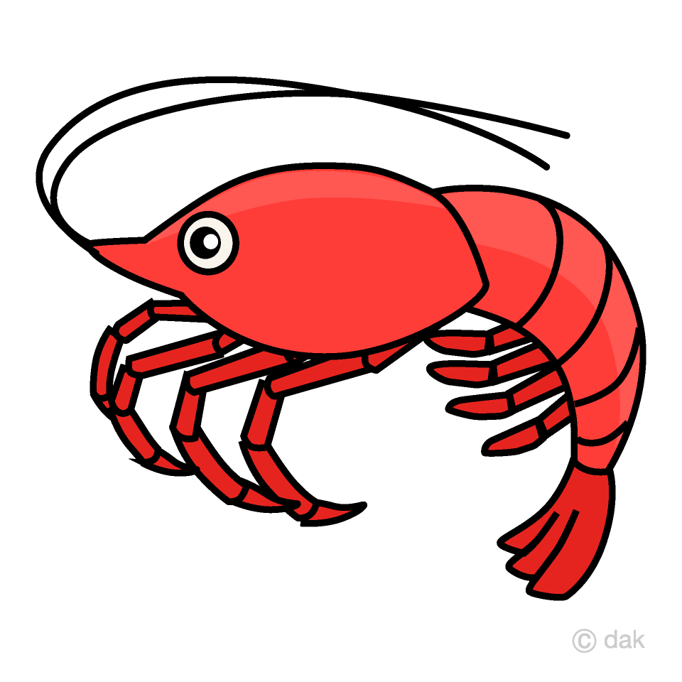 Detail Clipart Shrimp Nomer 4