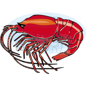 Detail Clipart Shrimp Nomer 37