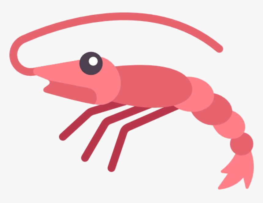 Detail Clipart Shrimp Nomer 44