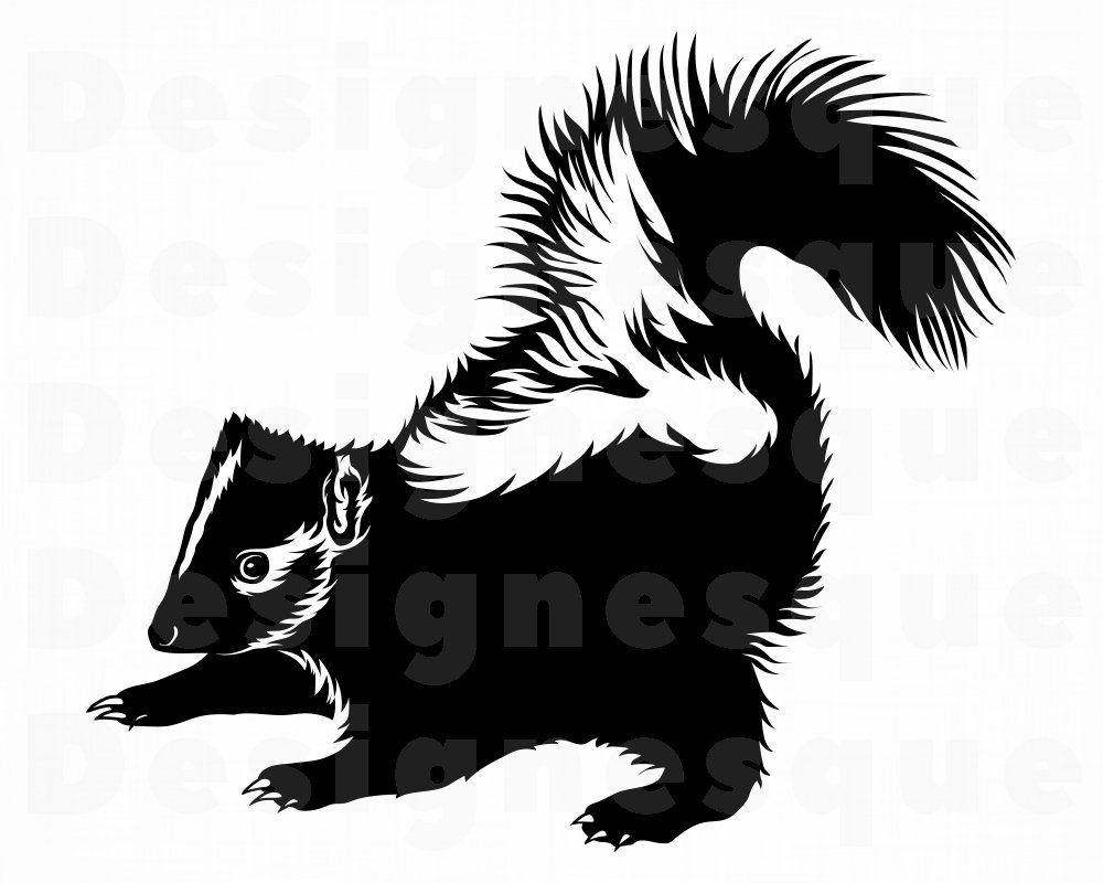 Detail Clipart Skunk Nomer 43