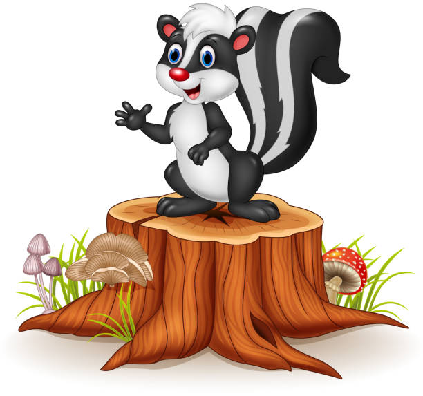 Detail Clipart Skunk Nomer 48