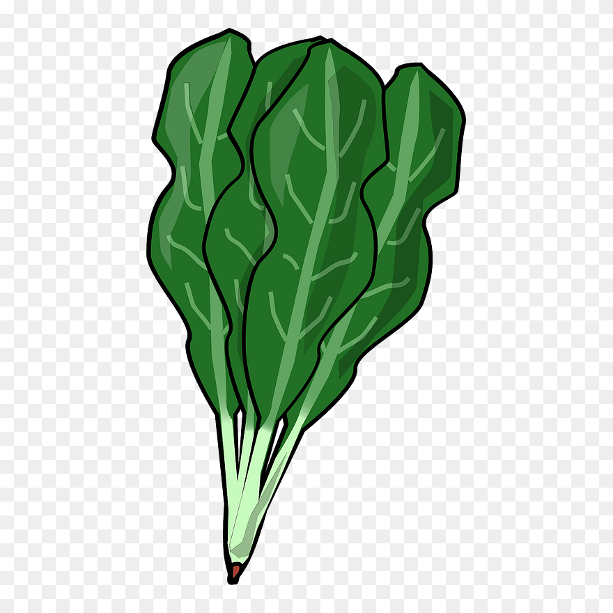 Detail Clipart Spinach Nomer 12