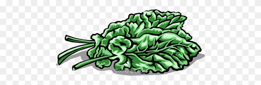 Detail Clipart Spinach Nomer 28