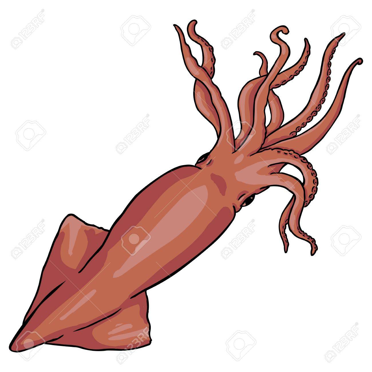 Detail Clipart Squid Nomer 15