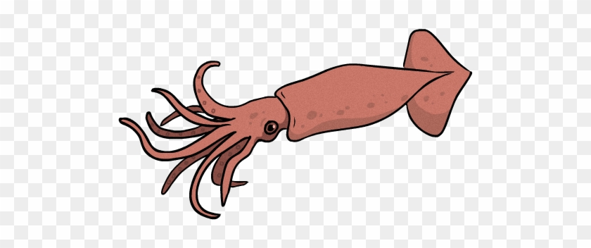 Detail Clipart Squid Nomer 20