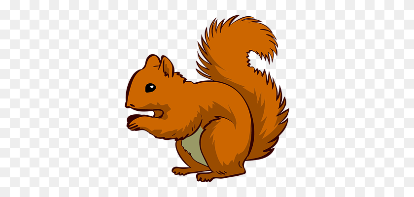 Detail Clipart Squirrel Nomer 17