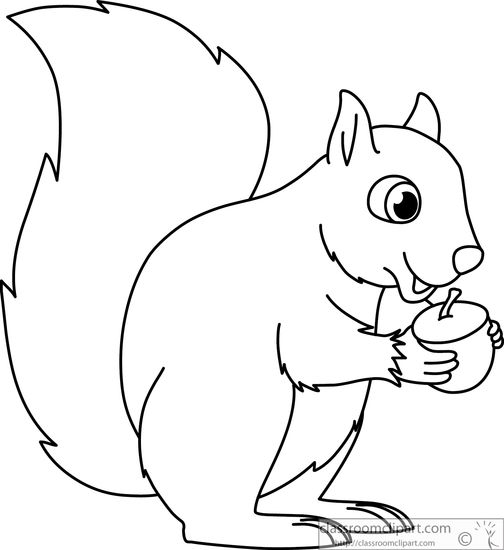 Detail Clipart Squirrel Nomer 32