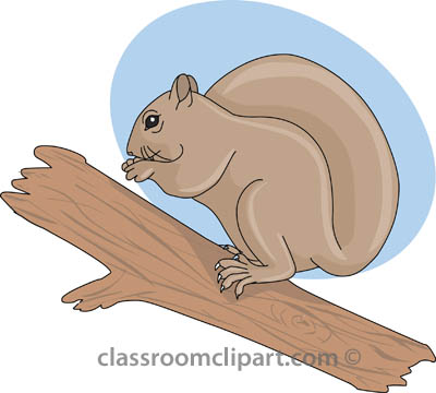 Detail Clipart Squirrel Nomer 53