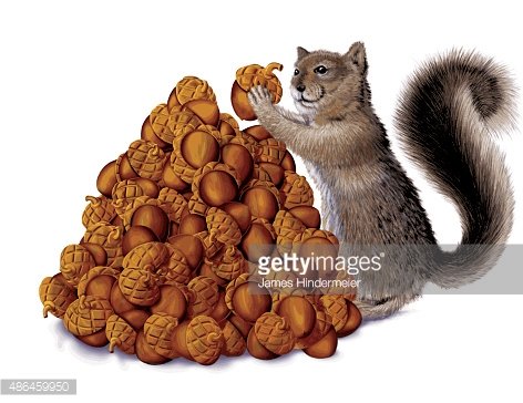 Detail Clipart Squirrel With Nuts Nomer 34