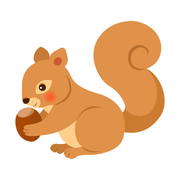 Detail Clipart Squirrel With Nuts Nomer 5