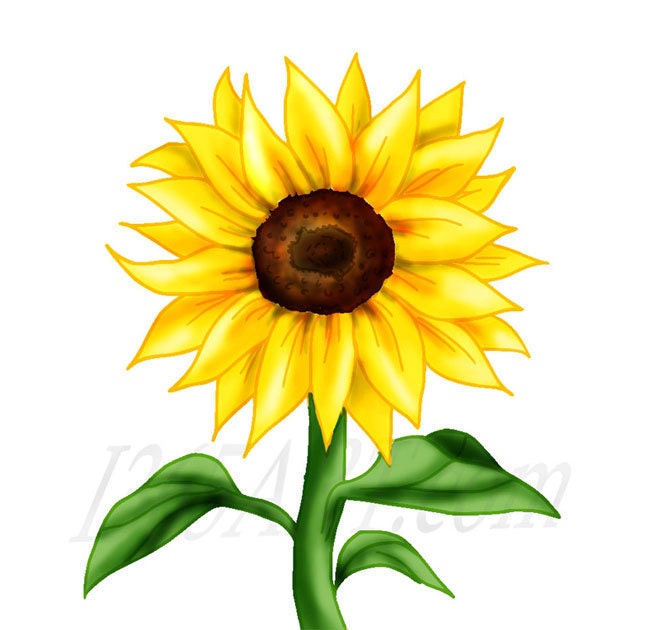 Detail Clipart Sunflower Nomer 3