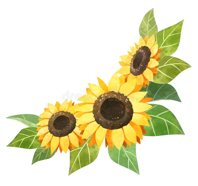 Detail Clipart Sunflower Nomer 21