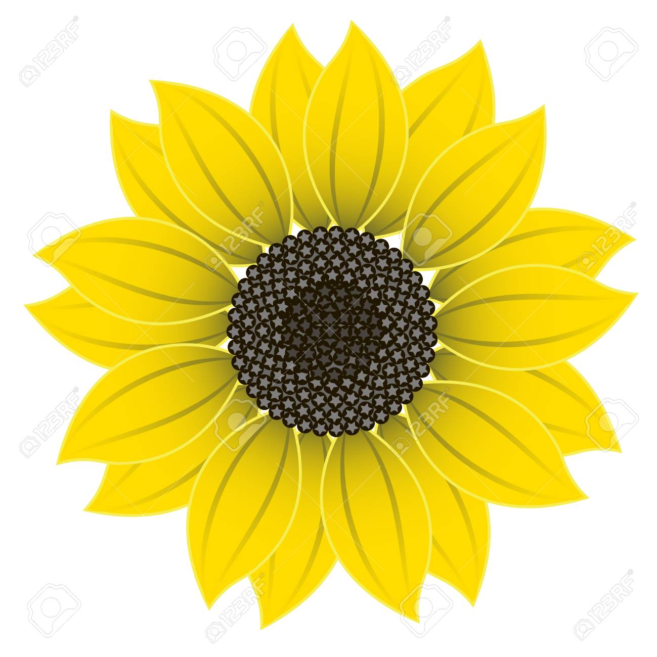 Detail Clipart Sunflower Nomer 36