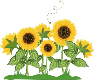 Detail Clipart Sunflower Nomer 49