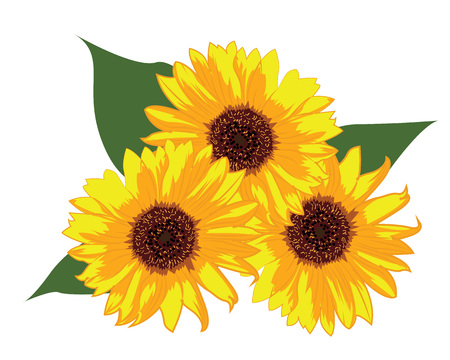 Detail Clipart Sunflower Nomer 55