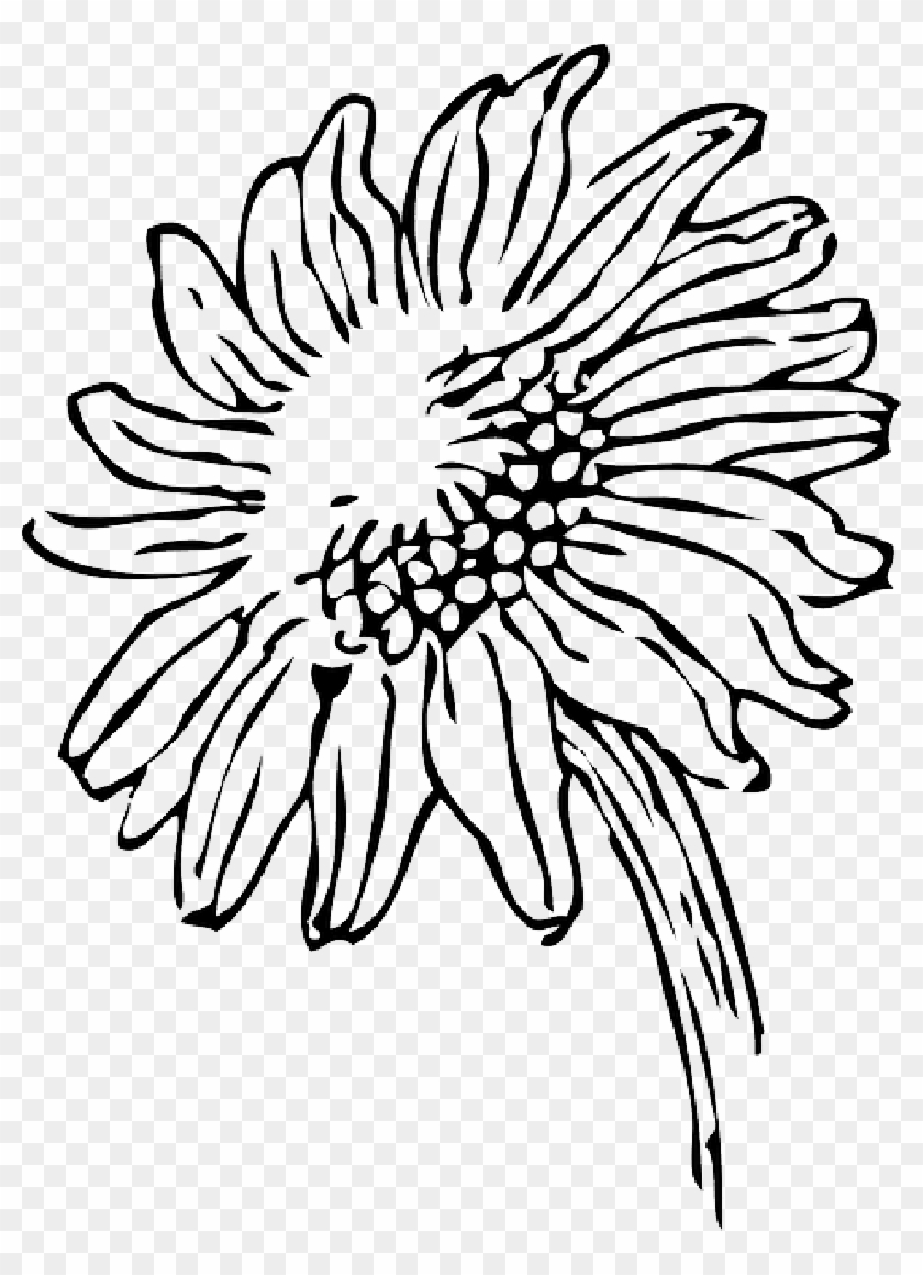 Detail Clipart Sunflower Black And White Nomer 26