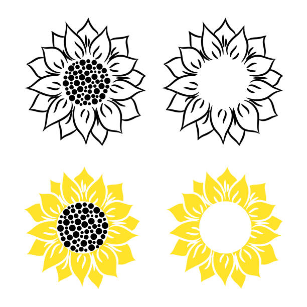 Detail Clipart Sunflower Black And White Nomer 37