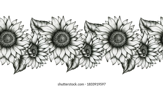Detail Clipart Sunflower Black And White Nomer 43
