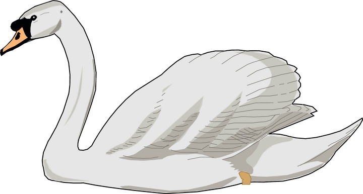 Detail Clipart Swan Nomer 19