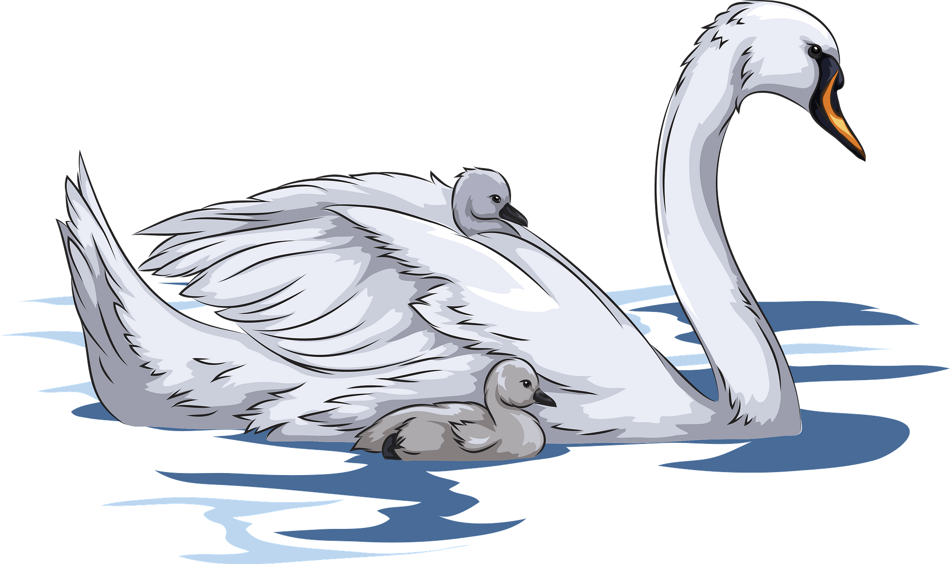 Detail Clipart Swan Nomer 39