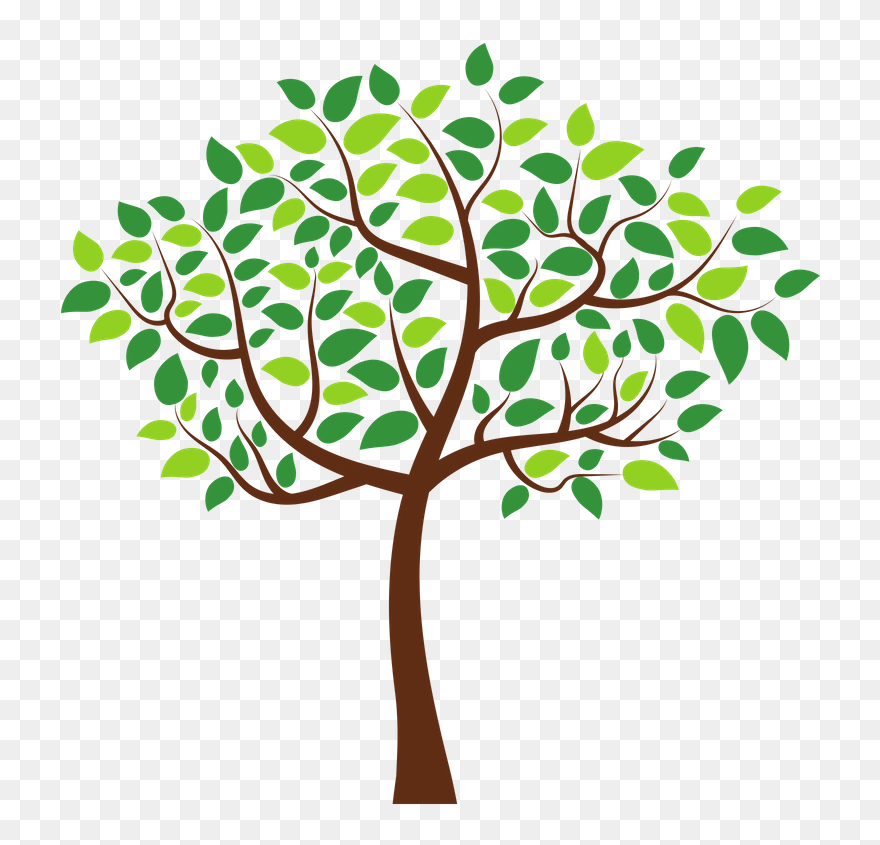 Detail Clipart Tree Nomer 21