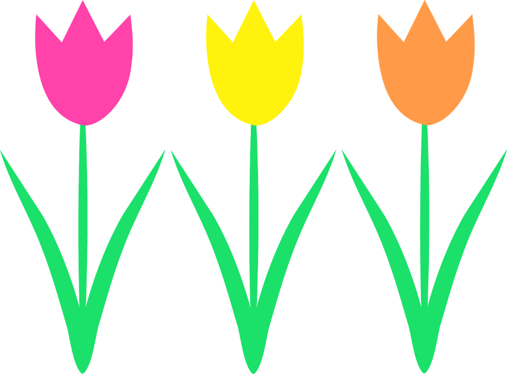 Detail Clipart Tulip Nomer 20