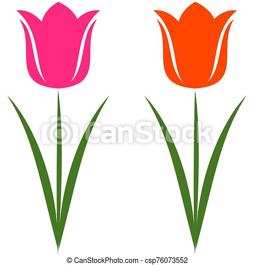 Detail Clipart Tulip Nomer 31