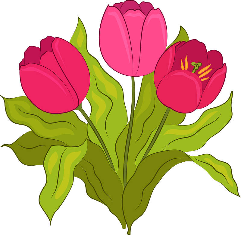 Detail Clipart Tulip Nomer 52