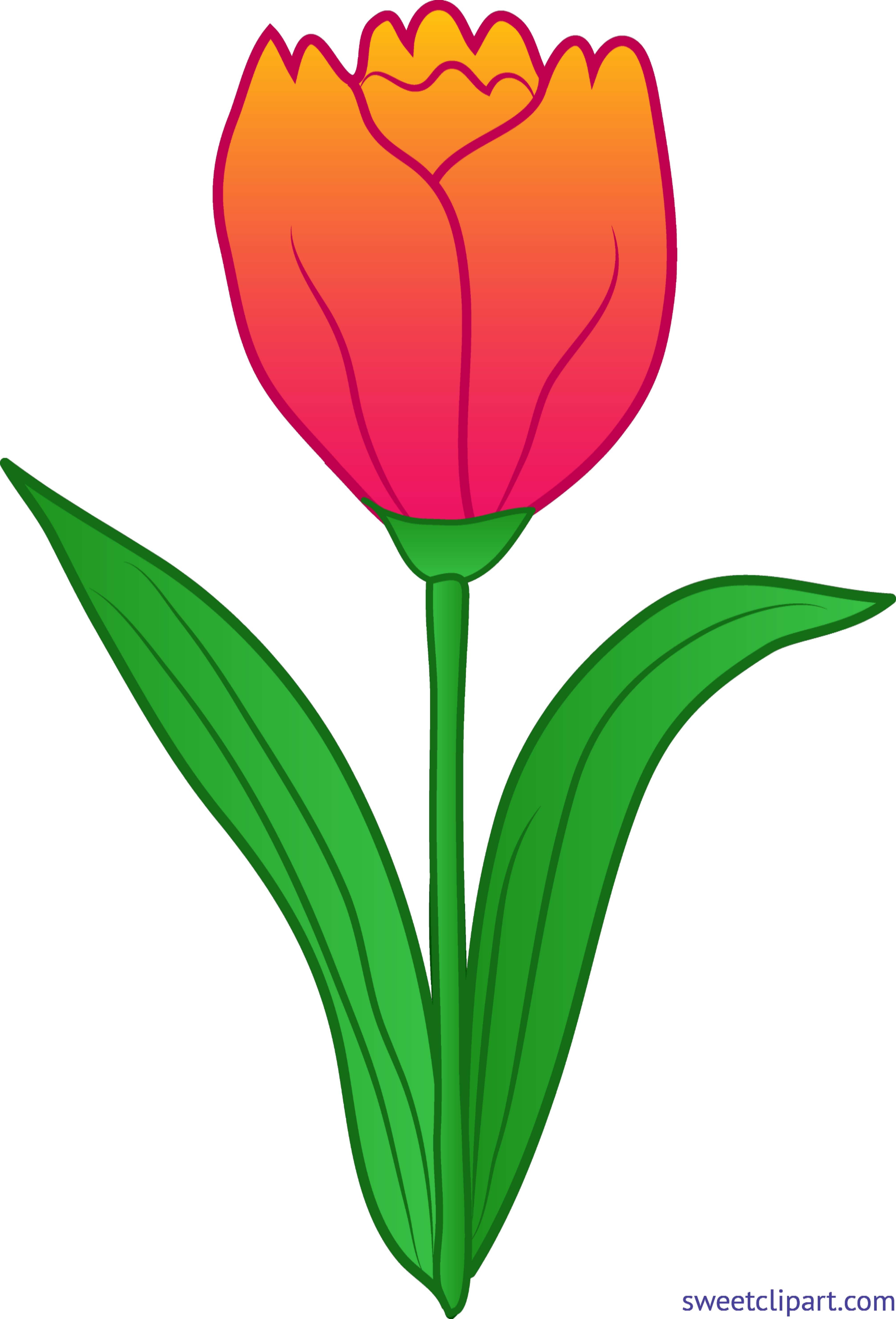 Detail Clipart Tulip Nomer 9