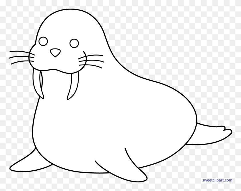 Detail Clipart Walrus Nomer 27